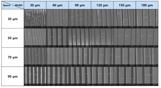 미세 패터닝으로 수직배양된 탄소나노튜브의 패턴너비 및 피치간격