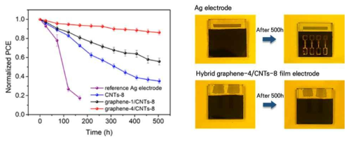 기존 전극 및 탄소나노섬유-그래핀 복합 플랫폼 기반 페로브스카이트 태양전지 안정성 비교