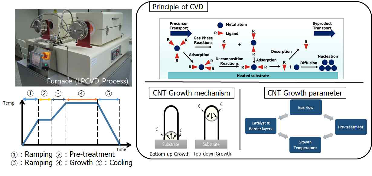 열화학기상증착법을 이용한 탄소나노튜브 합성 공정도