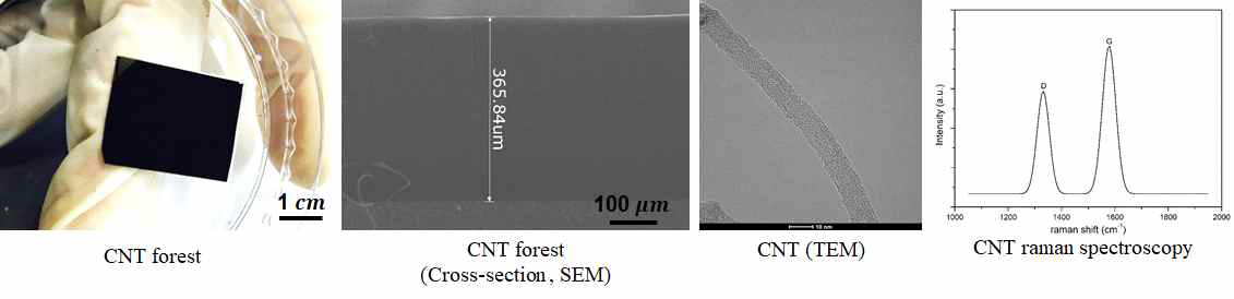 탄소나노튜브 샘플. 탄소나노튜브 단면(SEM), 탄소나노튜브 (TEM) 탄소나노튜브 Raman spectroscopy (왼쪽부터)