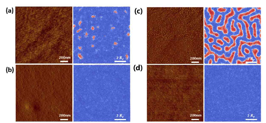 중합한 블록 공중합체 브러쉬의 표면 모폴로지와 해당 구조 파라미터를 이용하여 예측한 모폴로지 (a) σBCP = 0.21 chains/nm2 (left, experiment) and 8.4 chains/Re2 (right, simulation), fPMMA = 0.32; (b) σBCP = 0.44 chains/nm2 (left, experiment) and 272.14 chians/Re2 (right, simulation), fPMMA = 0.26; (c) σBCP = 0.12 chains/nm2 (left, experiment) and 56.50 chains/Re2 (right, simulation), fPMMA = 0.44; (d) σBCP = 0.44 chains/nm2 (left, experiment) and 155,51 chians/Re2 (right, simulation), fPMMA = 0.46