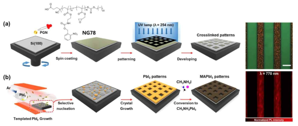 표면 개질을 위한 화학적 경로를 응용한 유기 패턴 형성 및 이를 이용한 페로브스카이트 패턴 제작