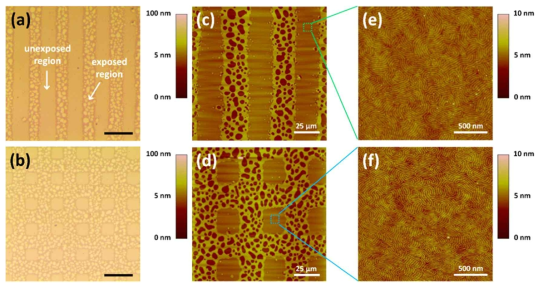 리소그래피 방식으로 자외선을 조사하여 선택적으로 poly(S-b-MMA) 박막의 표면 모폴로지 조절이 가능함을 보여주는 광학 현미경 및 원자힘 현미경 이미지