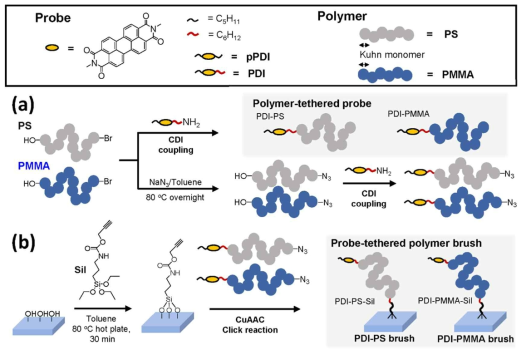 본 연구에서 수행한 Grafting-to 방법을 이용한 pPDI-PMMA brush 합성법
