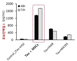 타우 응집조건에 함께 배양된 MSCs에서 후보단백질 1의 분비