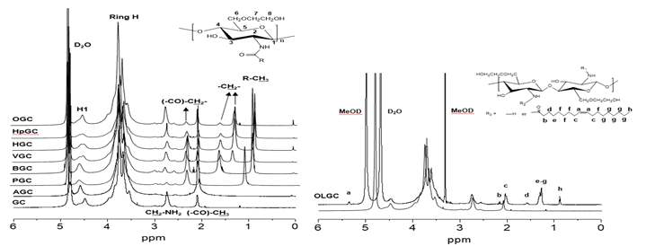 GC, AGC, PGC, BGC, VGC, HGC, HpGC, OGC, OLGC의 1H-NMR 스펙트럼