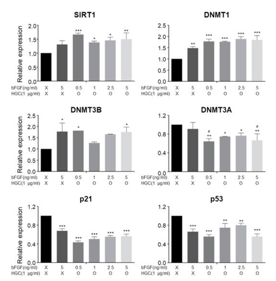 HGC 및 bFGF 장기간 처리 후 실시간 중합효소 연쇄 반응(real-time polymerase chain reation; RT-PCR) 분석을 통한 노화 관련 유전자 분석
