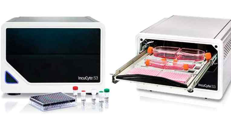 실시간 세포 영상 분석기 (Incucyte S3, Sartorius)