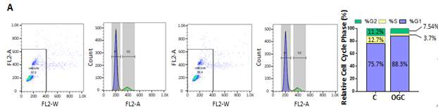 PI 염색을 통한 Cell cycle 변화 조사