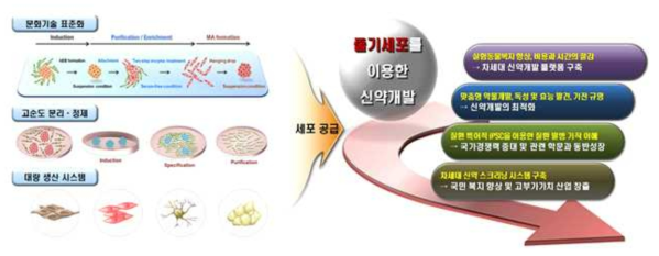 연구개발성과의 기술/경제/산업적 기대효과