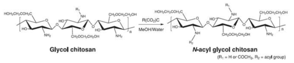 N-아실 글리콜 키토산의 합성 과정