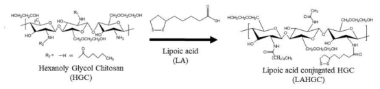 Lipoic acid가 결합된 헥사노일 글리콜 키토산의 합성 과정