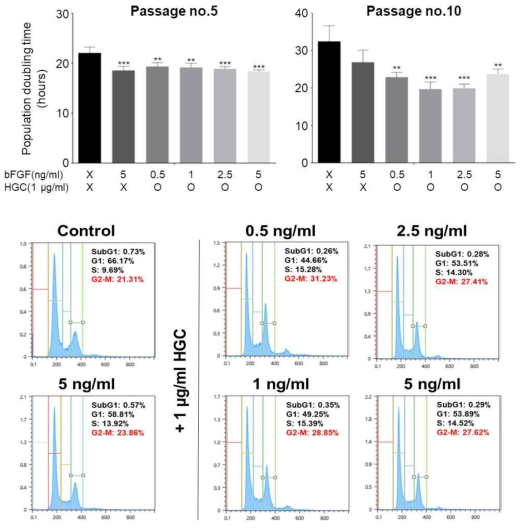 HGC 및 bFGF 장기간 처리 후 population doubling time 및 세포 주기