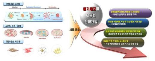 연구개발성과의 기술/경제/산업적 기대효과