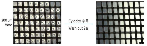 Cytodex를 이용한 미립구 개수 측정 결과 94% 이상의 정확도