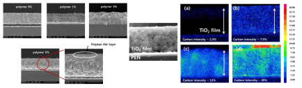 선정된 고분자를 이용하여 농도별 하이브리드 전극을 제조후 단면 및 고분자 분포