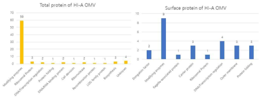 HI-A 과발현 균주에서의 OMV 프로테오믹스 데이터 분석