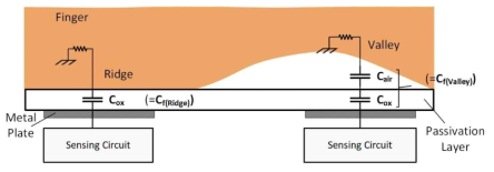 Model of the fingerprint electrode (top electrode) and sensor plate (bottom electrode) to form the capacitance