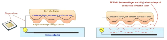 Basic Structure and principles of RF Sensor Arrays