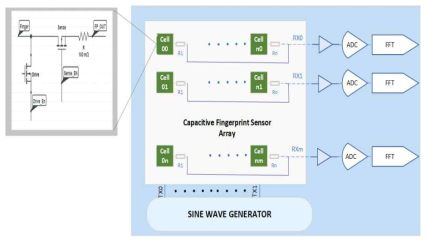 Block diagram of the capacitive fingerprint differential sensing scheme
