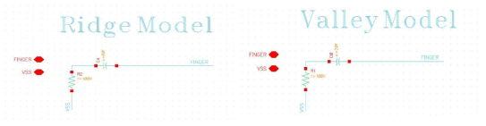 Ridge and Valley Model of finger