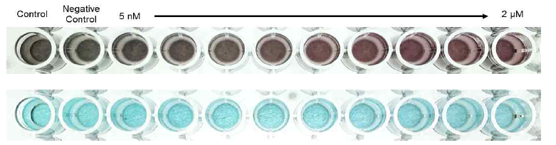 Target DNA의 농도에 따른 무채색 (검정) 나노입자와 단일 입자의 센싱 비교