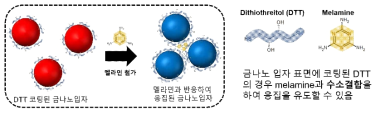 멜라민 센싱을 위한 금 나노입자의 디자인