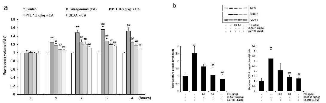 Effects of PTE on CA-induced paw edema volume and expression of iNOS and COX-2 by CA in the paw tissues