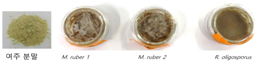 Monascus ruber (1,2) 및 R. oligosporus를 사용하여 7일 발효 후 여주