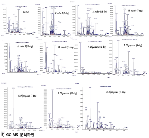 발효 미생물과 발효 일자에 따른 향기 성분 GC-MS 분석 결과