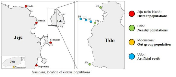 감태 샘플링 위치. 총 11개의 개체군 – 하도(HA), 종달(JD), 성산(SS), 온평(OP), 문섬(M), 우도 세 개체군 (UA, UB, UN), 인공어초 세 개체군 (D1, D2, D3)이 선정되었다
