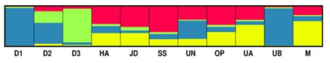 각 개체군 유전빈도 기반 STRUCTURE 분석 결과. 색깔이 비슷할수록 유전적으로 비슷한 군집을 나타냄