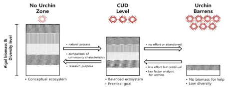 Critical Urchin Density (CUD)개념의 성게밀도조절과 해조숲 유지의 개념 모델