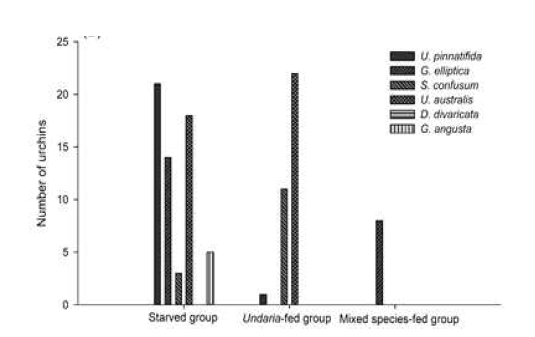 Starved group, Undaria-fed group, mixed species-fed group의 먹이별 누적 선택 수