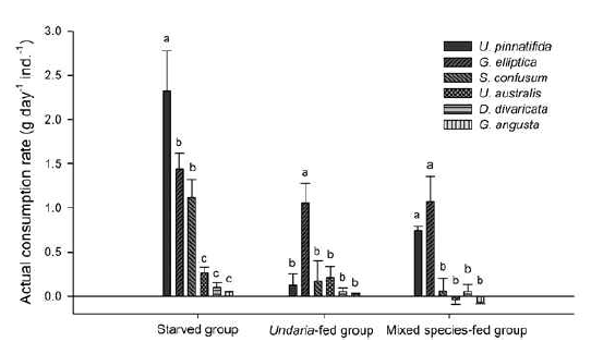 Starved group, Undaria-fed group, mixed species-fed group actual consumption rate