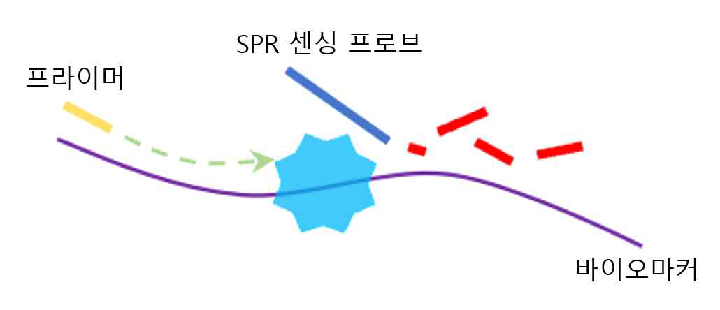 Assay 개념도