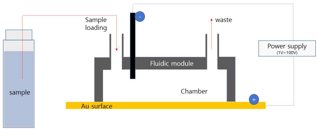 Fluidic module에 음전하용 전극을 설치하고, Au surface에 양전하 전극을 연결하여 전기장 유도시킴. 전기장이 걸린 상태에서 sample (핵산) 주입하여 전기장 유도 효과 확인