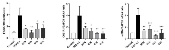 Effect of sulforaphane and active compounds on mRNA expression of extracellular matrix (ECM) protein in TGF-β1-induced MRC-5 fibroblast cells