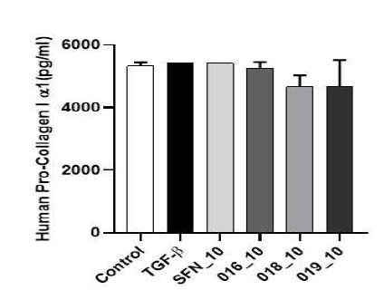 Effect of sulforaphane and active compounds on pro-collagen1a1 contents in TGF-β1-induced MRC-5 fibroblast cells