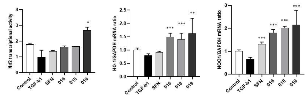 Effect of sulforaphane and active compounds on Nfr2 transcriptional activity and mRNA expression of oxidative related genes in TGF-β1-induced MRC-5 fibroblast cells