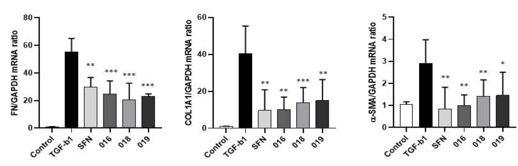 Effect of sulforaphane and active compounds on mRNA expression of extracellular matrix (ECM) protein in TGF-β1-induced A549 epithelial cells