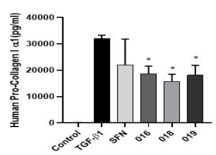 Effect of sulforaphane and active compounds on pro-collagen1a1 contents in TGF-β1-induced A549 epithelial cells