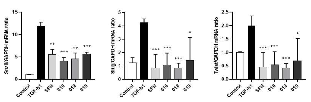 Effect of sulforaphane and active compounds on mRNA expression of epitherial-mesenchymal transition (EMT) related transcription factor in TGF-β1-induced A549 epithelial cells