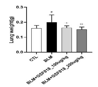 Effect of GSF-018 on lung tissue wight in bleomycin-induced pulmonary fibrosis mice