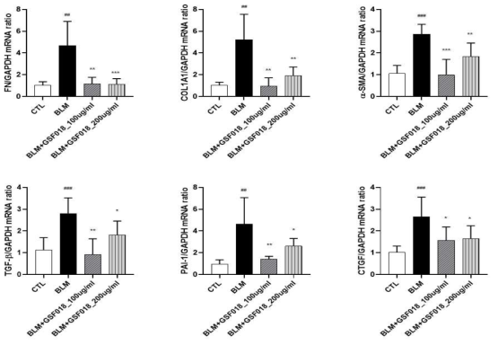 Effect of GSF-018 on the fibrosis related mRNA expression levels of lung tissues in bleomycin-induced pulmonary fibrosis mice