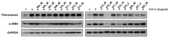 Effect of sulforaphane derivative compounds on expression of extracellular matrix (ECM) proteins in TGF-β1-induced MRC-5 fibroblast cells