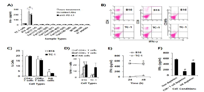 Immune cell responses to tumor antigens and melanoma class I peptides in tumor-bearing mice under anti-PD-L1 therapy. Each group (n=5/group) of mice was challenged s.c. with B16 cells. (A) When the tumor sizes became 2 mm in mean diameter, the mice were injected i.p. with 100 μg of anti-PD-L1 Abs and control Abs at 0, 3, 7, 10, and 13 days post-treatment. At 15 days post-treatment, the mice were sacrificed and the spleen was obtained. Six x 106 splenocytes per ml were stimulated with 2 x 106 B16 cells, along with TC-1 cells as a control that had been exposed to UV light for 1.5h. Five μg of peptides per ml were also added to the splenocytes. After 2 days stimulation, the cell supernatants were collected for measurement of IFN-γ. Values and bars represent IFN-γ concentrations and the SD. (B) The splenocytes of the B16 tumor bearing mice (tumor size: 10 mm) were stimulated for 1 day with B16 cells and TC-1 cells as described in Fig. 6A. In this case, 1 μM of monensin was added to the cell culture to block the secretion of IFN-γ. The immune cells were stained with anti-IFN-γ, along with each immune cell marker. (C) shows the percentages of CD4+ T cells, CD8+ T cells and CD49b+ NK cells among CD45+ cell populations. (D) shows the percentages of IFN-γ-positive cells among each population of CD4+ and CD8+ T cells, and NK cells. (E) The splenocytes were stimulated for 1 and 2 days with B16 cells and TC-1 cells and the levels of IFN-γ were measured, as described in Fig. 6A, except for no addition of monensin. (F) The splenocytes were stimulated for 2 days with B16 cells and the levels of IFN-γ were measured, as described in Fig. 6A. CD8+ T and NK cell-depleted immune cells were reacted with B16 cells, in parallel with whole immune cells. *p<0.05 compared to TC-1. #p<0.05 compared to non-depletion