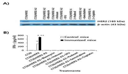 Evaluation of HER2 expression and of Ag-specific immune stimulatory activity in CT26/HER2-A2 cells by treatment with cytotoxic drugs. (A) CT26/HER2-A2 cells were incubated for 1 day with 1 mg/ml of drugs (5-FU, gemcitabine, cisplatin, holoxan, bleomycin, padexol). The tumor cells were lysed in RIPA buffer, and 30 mg samples of the cell lysates were separated by SDS-PAGE and analyzed by Western blot assay. (B) Mice were immunized by IM-EP with HER2 DNA vaccines at 0 and 1 weeks. At 2 weeks, the mice were sacrificed to obtain splenocytes. The splenocytes were incubated for 2 days with CT26/HER2-A2 cells that had been treated for 1 day with 1 μg of each drug per ml and then exposed to UV light for 3 h prior to immune cell treatment. The cell supernatants were collected for IFN-γ assay. *p<0.05 compared to CT26. **p<0.05 compared to control mice