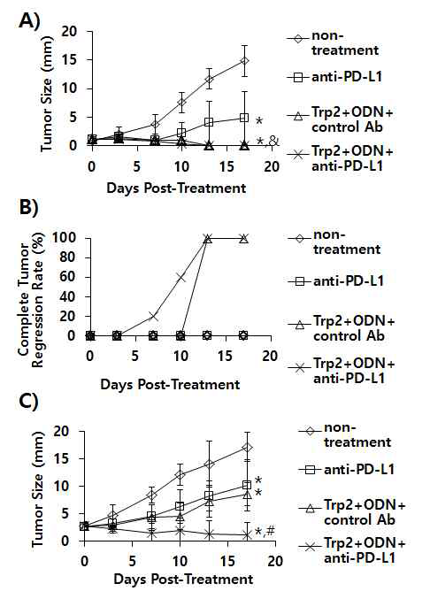 The antitumor activity of anti-PD-L1 Ab treatment in combination with combination therapy using Trp2 peptides plus CpG-ODN. (A) Each group of mice (n=5/group) was challenged s.c. with B16 cells. When the tumor sizes became 1.5 mm (A,B) and 3 mm (C) in mean diameter, the mice were injected i.p. with 100 μg of anti-PD-L1 Abs at 0, 3, 7, 10, and 13 days post-treatment. The mice were also treated s.c. with Trp2 peptides plus CpG-ODN at 0 and 7 days post-treatment, as described in the “Material and methods”. The tumor sizes were measured over the time points. The values and bars represent mean tumor sizes (A,C) and %complete tumor regression rates (B), and the SD, respectively. *p<0.05 compared to non-treatment. &p<0.05 compared to anti-PD-L1. #p<0.05 compared to anti-PD-L1 and Trp2+ODN+control Ab