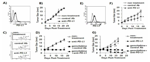 Expression status of PD-L1 on TC-1 and MC38 cells, and the antitumor therapeutic effect of anti-PD-L1 Abs in association with gemcitabine. A) TC-1 cells were stained with PE-conjugated control IgG isotype (thin line) and PE-conjugated anti-PD-L1 Abs (thick line). B,C) Each group of mice (n=5/group) was challenged with TC-1 cells. When the tumor sizes became 2 mm in mean diameter, the mice were injected i.p. with 100 μg of anti-PD-L1 IgGs at 0, 3, 7, 10, and 13 days post-treatment. Tumor sizes were measured over the time points (B). On day 15, the mice were tested for in vivo CTL lytic activity (C). D) Similar experiments to Fig. 1B except that when the tumor sizes become 5 mm in mean diameter, the mice were treated with anti-PD-L1 Abs and gemcitabine. In particular, the mice were injected i.p. with gemcitabine twice a week at a dose of 37.5 mg/g body weight. E) MC38 cells were stained with PE-conjugated control IgG isotype (thin line) and PE-conjugated anti-PD-L1 Abs (thick line). F) Similar experiments to Fig. 1B except with MC38 cells. G) Similar experiments to Fig. 1D except with MC38 cells. *p<0.05 compared to non-treatment. #p<0.05 compared to anti-PD-L1. **p<0.05 compared to gemcitabine+control Ab (by independent t test)